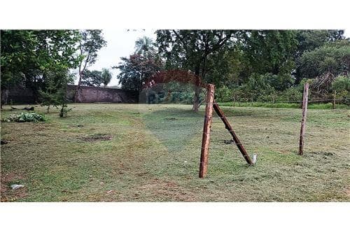 2 hermosos lotes en venta — foto 4