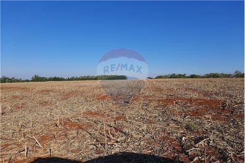 Terreno sobre ruta Graneros del Sur - Fram!! — foto 3