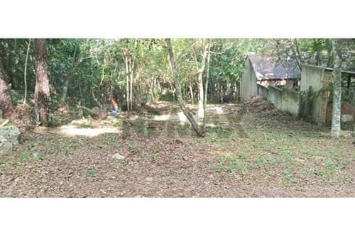 Terreno de 828m² en Nueva Colombia, ¡Invierte ya! — foto 2