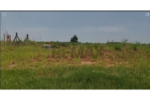 En venta propiedad de 10.000 m2 santani — foto 4
