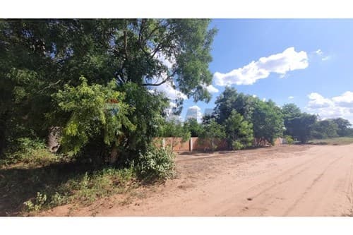 2 terrenos juntos, loma plata — foto 3