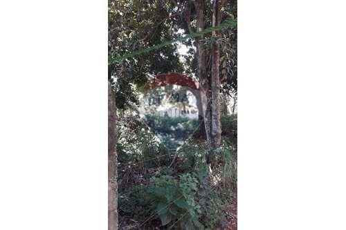 "Terreno Ideal en Capiatá: 1485 m² en Ybyraro" — foto 4