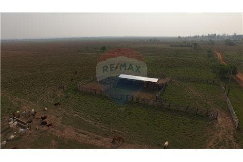 Campo en Arroyos y Esteros sobre el rio Piribebuy — foto 4