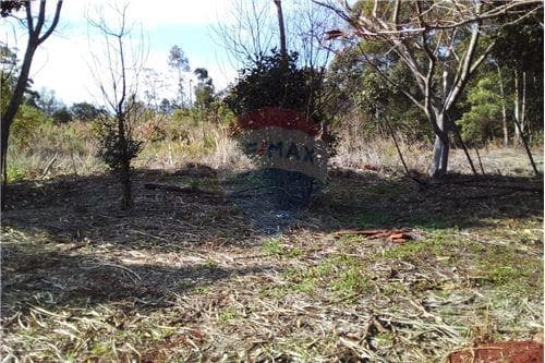 Amplio terreno, ideal para industria y/o comercio