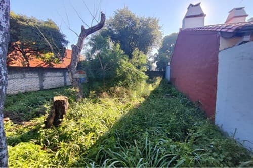 Terreno sobre asfalto Mariano Roque Alonso, foto 4