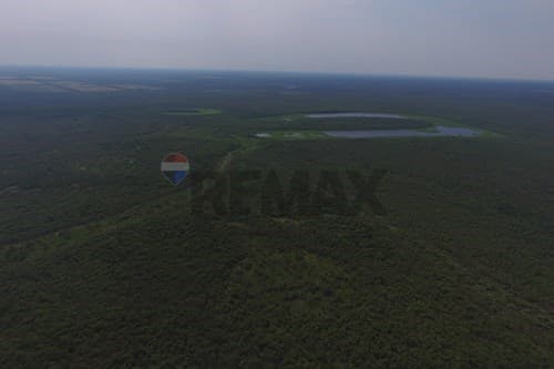 Excelente oportunidad Campo virgen Chaco Paraguayo — foto 3