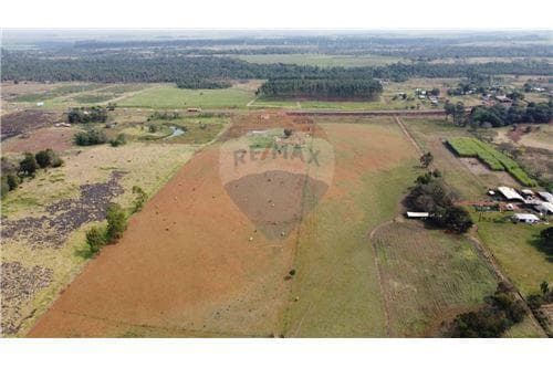 En venta campo o estancia en minga guazu — foto 4