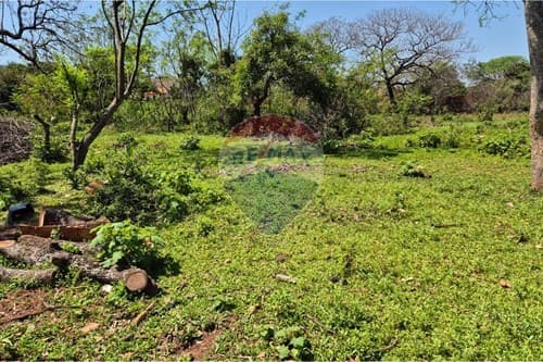 Amplio terreno 3.492 m² en Luque — foto 4