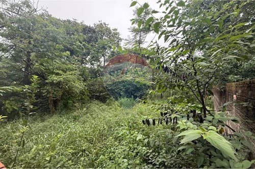 Terreno en caacupe — foto 3