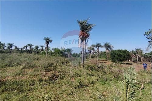 En venta 3,7 hectareas en nva colombia cordillera, foto 4