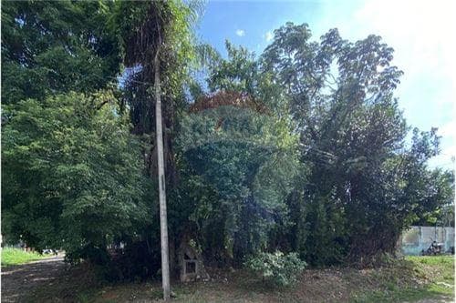 de Terreno en Esquina Mariano R Alonso — foto 4
