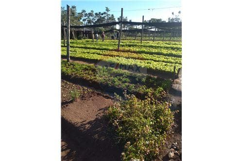 3 terrenos juntos 4.750 mts 2. J.A. Saldivar — foto 3