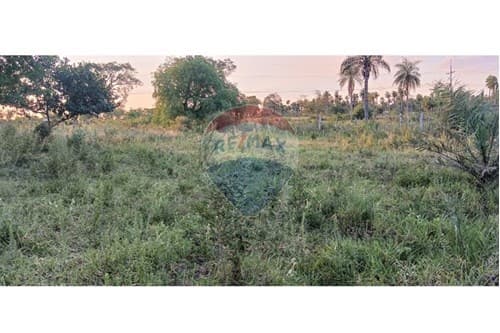 Terreno en caacupe-oferta — foto 4