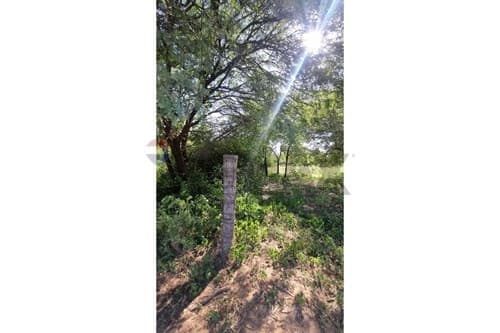 Terreno de casi 1 hectárea – loma plata — foto 2