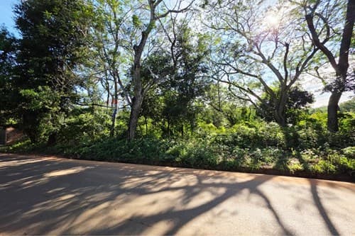 Terreno en venta Luque- ita angu'a