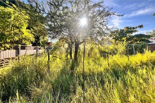 Terreno en Oferta — foto 3