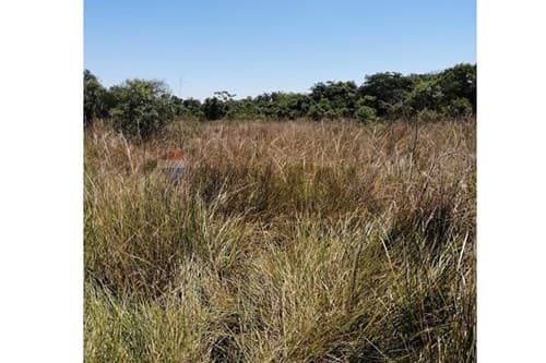 Terreno en Venta Urbanización El Cortijo — foto 5