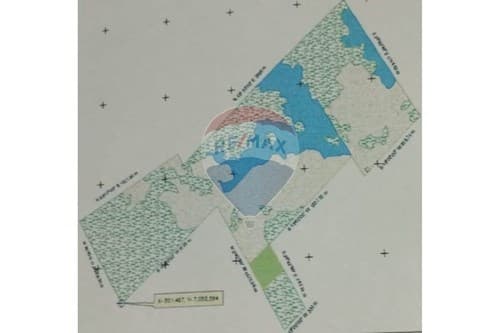 Oportunidad de Inversión Agrícola — foto 3
