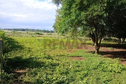Propiedad Rural de 77 has. zona 25 de Dicembre — foto 5