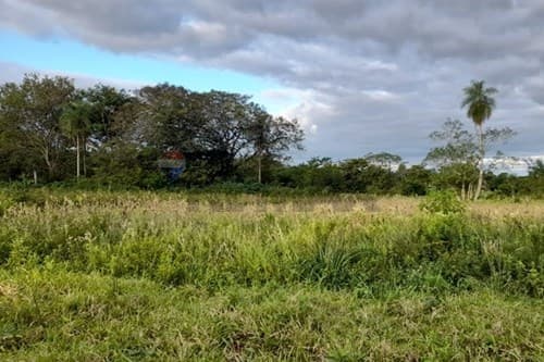 Terreno en yaguaron ruta 1 km61 — foto 4