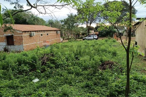 Terreno-venta Salado villa Mercedes Limpio Central
