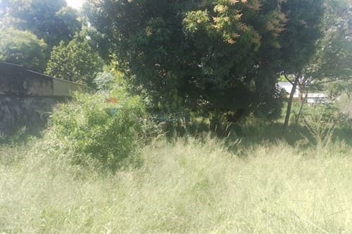 TERRENO DE 660 Mts2 en el Centro de Capiatá — foto 4
