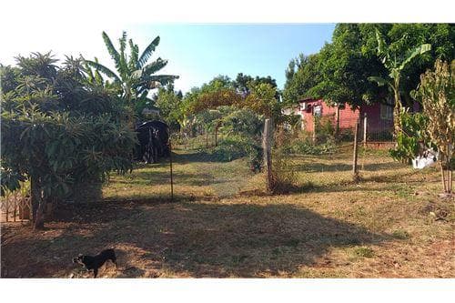 Hermoso terreno en San Juan del Paraná — foto 4