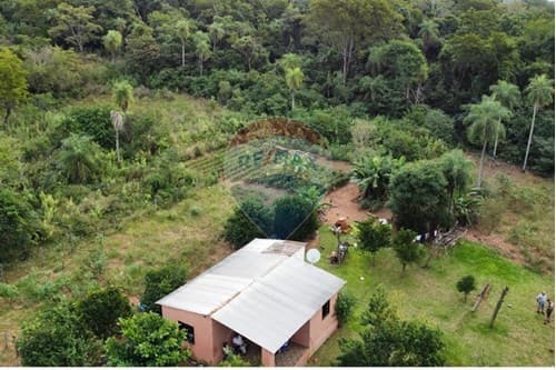 ¡3 Terrenos Juntos en Isla Valle, Areguá! — foto 3