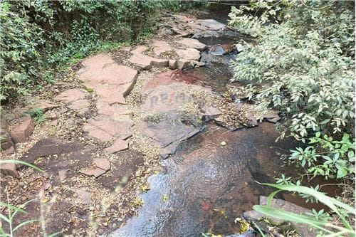 10 hectáreas en venta - San Juan del Paraná
