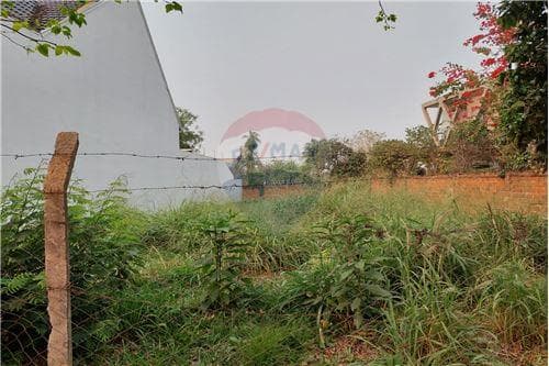 Terreno en el centro de Encarnación — foto 3