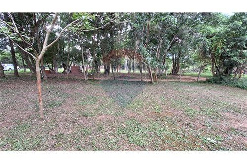 Amplio terreno en venta en dist. De eusebio ayala — foto 5