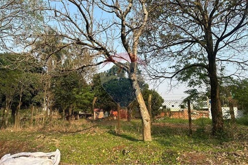 Terreno en Terreno titulado, San José — foto 5