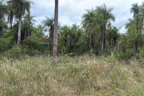 Oferta de terreno en Caacupé, ¡Descubrí! — foto 2