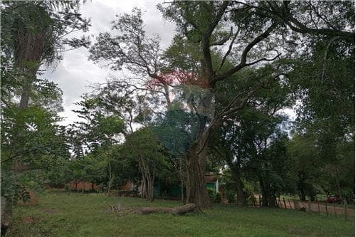 Hermoso terreno en esquina 5.136m2-misiones — foto 3