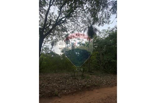 En venta amplio terreno de 1500mt2 en itaugua, foto 4