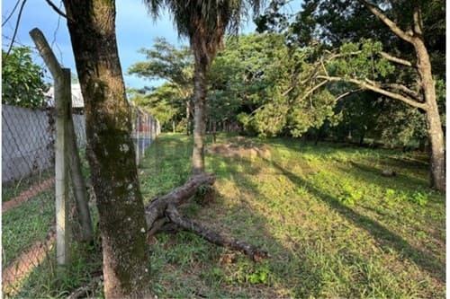 Terreno amplio en Mora Kue, Luque de 1.555 M2, foto 3