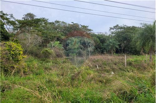 El terreno qie estabas buscando — foto 2