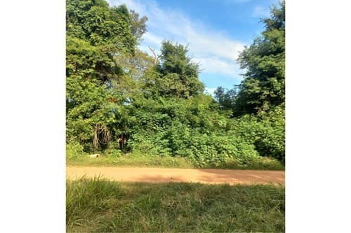 Terreno - venta - Caacupé – para loteamiento — foto 2