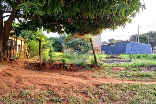 Terreno en venta en Villa Elisa — foto 4