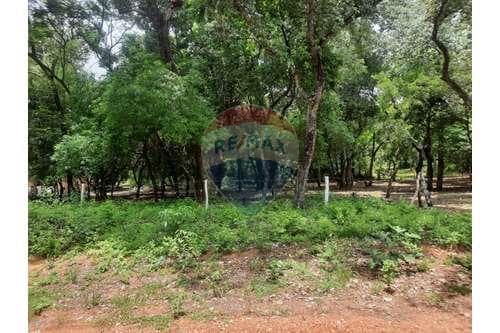 Oportunidad única de terreno San Bernardino — foto 3