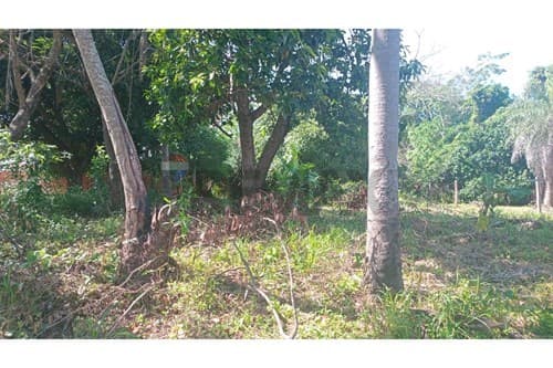 - terreno - Ñemby — foto 2