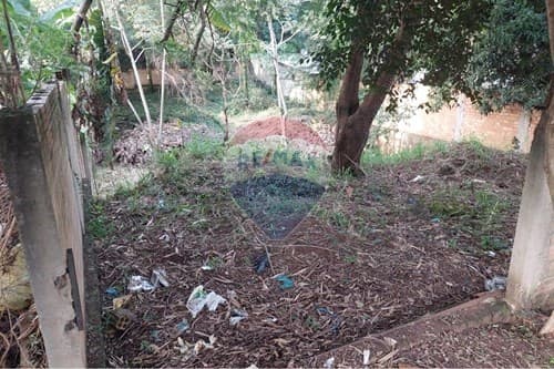 Terreno de 664 m2 - barrio san alfredo — foto 5