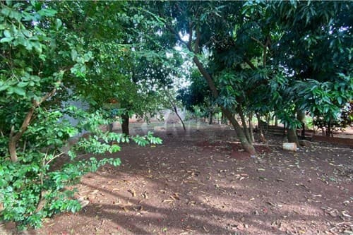 Terreno en venta – Km 7 Don Bosco — foto 2