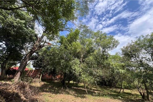 Terreno en venta caacupe 840 mts2 — foto 4