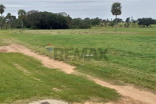 En venta terreno en arroyo y esteros — foto 3