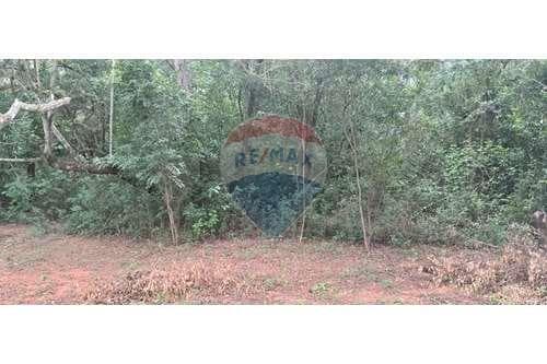 Terreno de Ensueño en Costa Pacú, Caacupé — foto 4