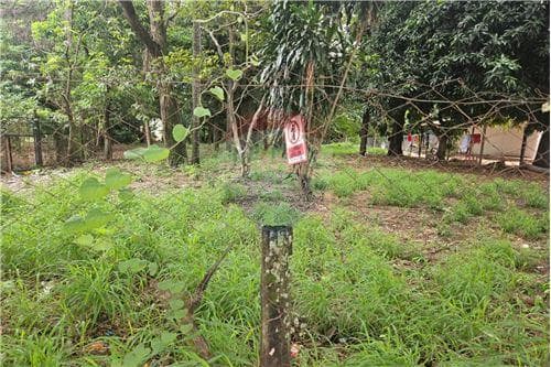 Terreno comercial en el centro de Ñemby — foto 3