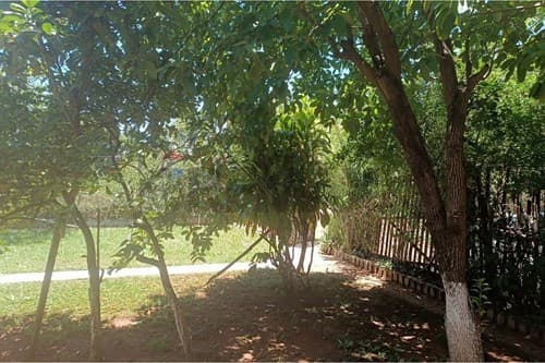 VENDO! Propiedad de 2 Terrenos en esquina, foto 5