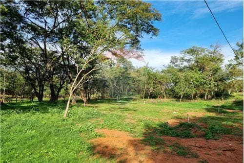 Barrio Cerrado FLORESTA-Terrenos de 370 M2 — foto 3