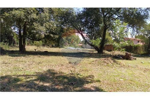 Terreno 9.807m2 - loma merlo-zona rakiura — foto 5